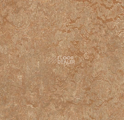 Линолеум Forbo Marmoleum Marbled Real 3233 Shitake фото 1 | FLOORDEALER